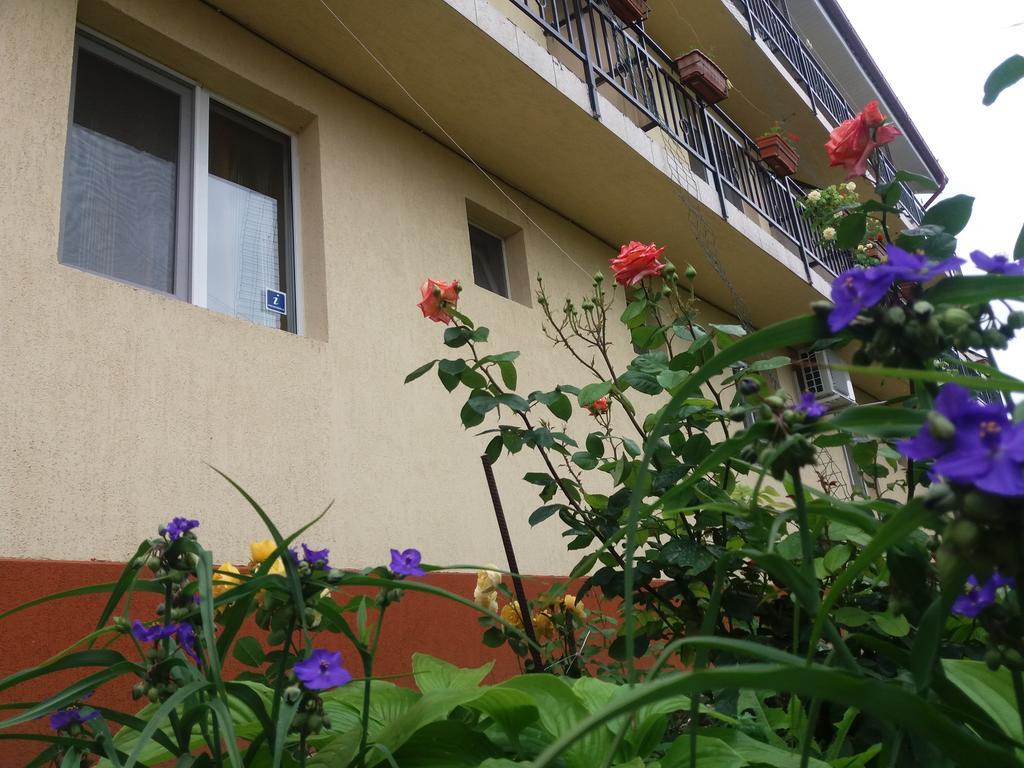 Vila Albatros Vama Veche Zewnętrze zdjęcie