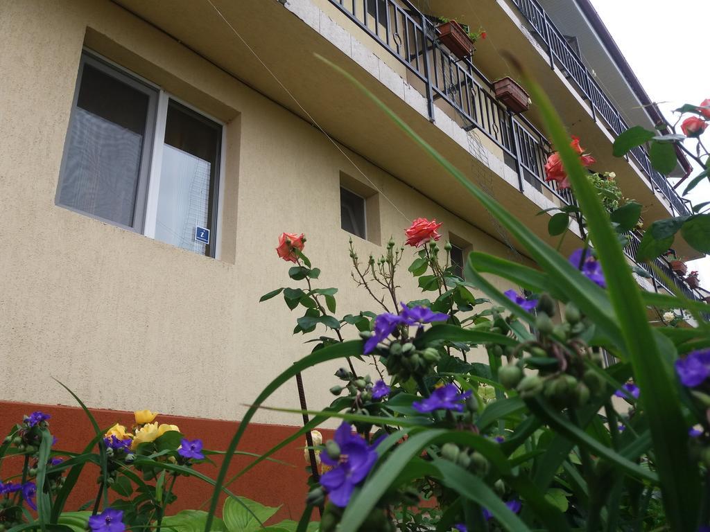 Vila Albatros Vama Veche Zewnętrze zdjęcie